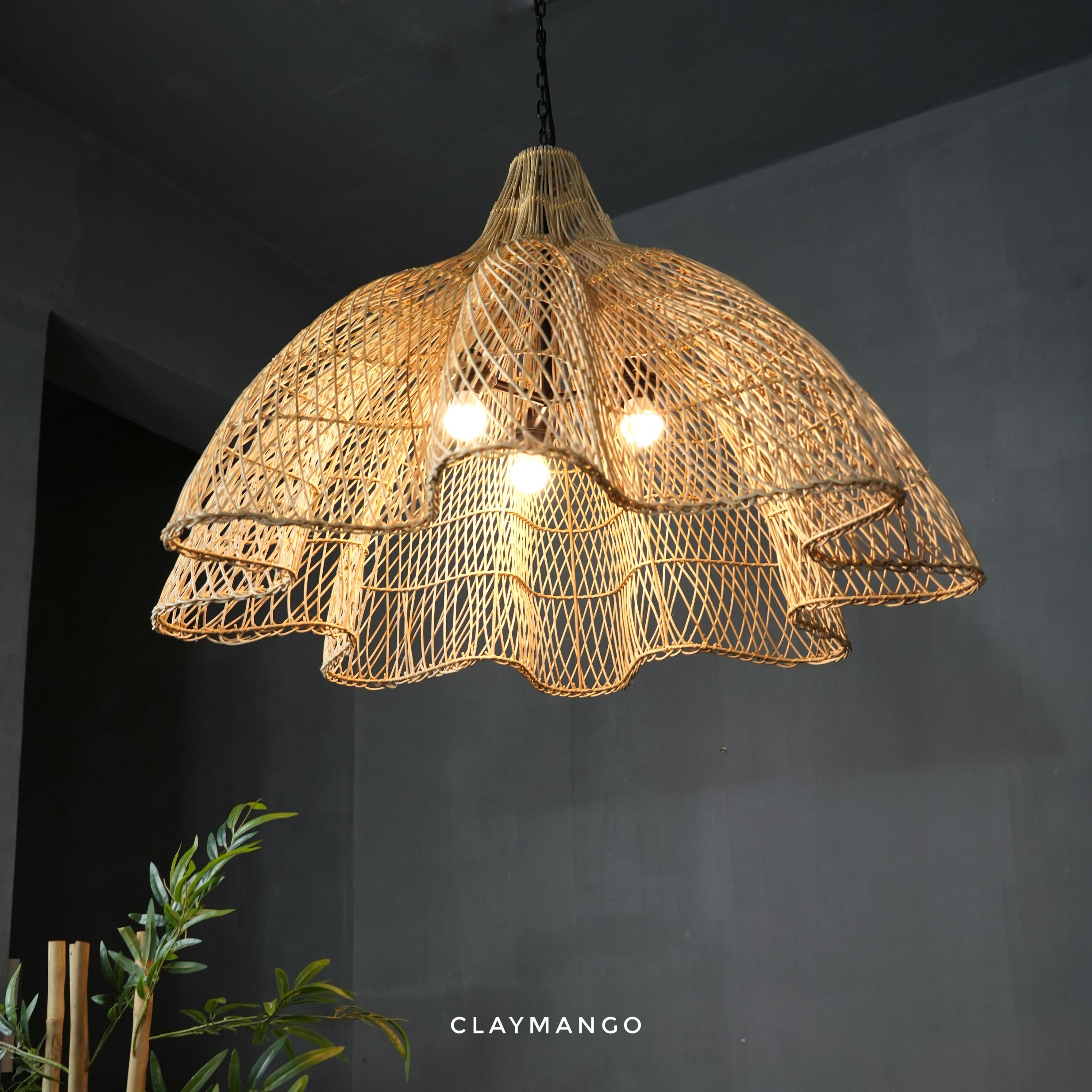 Eclipsa-Unique handmade Woven Hanging Pendant Light, Natural/Cane
