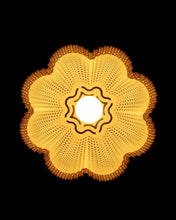 Load image into Gallery viewer, Marina - Pendant Light for Home restaurants and offices