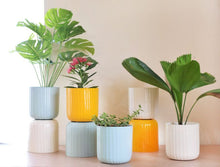 Load image into Gallery viewer, Aviva Planter - Ivory White