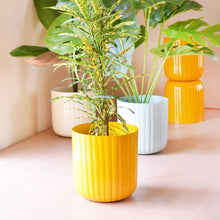 Load image into Gallery viewer, Aviva Planter - Yellow