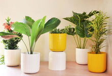 Load image into Gallery viewer, Aviva Planter - Yellow
