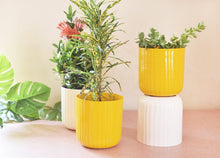Load image into Gallery viewer, Aviva Planter - Yellow