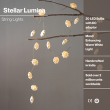 Load image into Gallery viewer, Stellar Lumina String Lights, 20 ornaments, 800cm length
