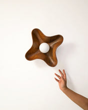 Load image into Gallery viewer, Compass Wall Light