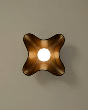 Load image into Gallery viewer, Compass Wall Light