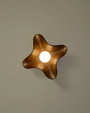 Load image into Gallery viewer, Compass Wall Light