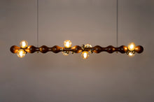Load image into Gallery viewer, Stem Suspended Ceiling Light - Studio Indigene