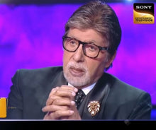 Load image into Gallery viewer, Lion Brooch from Mother of Pearl series - 16 hand inlaid MOP jewels.