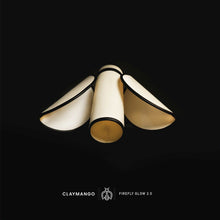 Load image into Gallery viewer, Firefly Glow 2.0 - Unique Hanging Pendant Light for Home restaurants and offices.