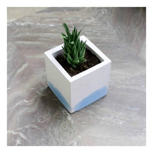 Load image into Gallery viewer, Paradox Rectangle Light Blue Cement Planter/Vase/Flower Pot/Home and Garden Decor-Home Décor-Claymango.com