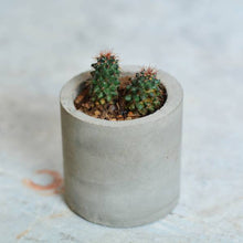 Load image into Gallery viewer, Minima concrete geometrical concrete planter for table top /office desk / living room / console table ( small )-Home Décor-Claymango.com