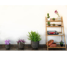 Load image into Gallery viewer, Dolah Arong - Large-Bamboo-Claymango.com