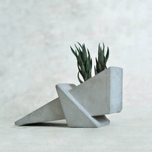 Load image into Gallery viewer, Grasshopper concrete geometrical concrete planter for table top /office desk / living room / console table-Home Décor-Claymango.com