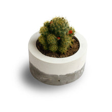 Load image into Gallery viewer, Paradox Round Cement Planter / Vase / Flower Pot / Home decor-Home Décor-Claymango.com