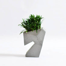 Load image into Gallery viewer, Cavity concrete geometrical concrete planter for table top /office desk / living room / console table-Home Décor-Claymango.com