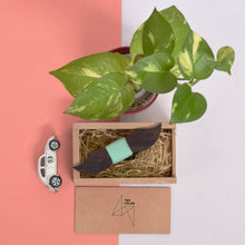 Load image into Gallery viewer, Small mustache Teal plain unisex Bowtie-Mens Accessories-Claymango.com