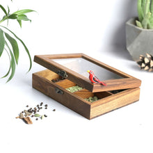 Load image into Gallery viewer, Teak wood Masala box/Tea bag box from Chidaiya collection.-Kitchen Accessories-Claymango.com