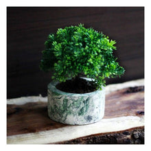 Load image into Gallery viewer, Paradox Round Green/Black Cement Planter/Vase/Flower Pot/Home Decor-Home Décor-Claymango.com