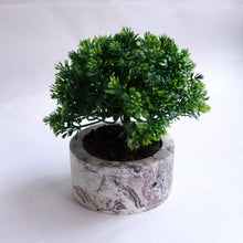 Load image into Gallery viewer, Paradox Round Red/Black Cement Planter/Vase/Flower Pot/Home Decor-Home Décor-Claymango.com