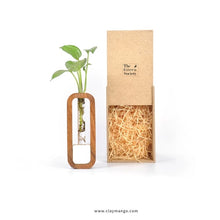 Load image into Gallery viewer, Minima Wood and Marble table top/wall hanging planter.-Home Décor-Claymango.com