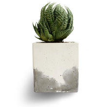 Load image into Gallery viewer, Paradox Rectangle (2) Cement Planter / Vase / Flower Pot / Home decor-Home Décor-Claymango.com