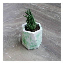Load image into Gallery viewer, Paradox Hexagon Green Cement Planter/Vase/Flower Pot/Home Decor-Home Décor-Claymango.com