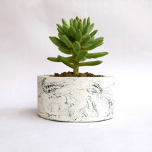 Load image into Gallery viewer, Paradox Round Black/White Cement Planter/Vase/Flower Pot/for Home Garden Office and Balcony Decoration-Home Décor-Claymango.com