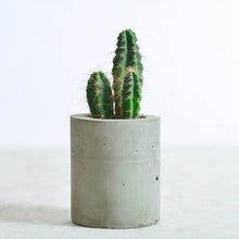 Load image into Gallery viewer, Minima concrete geometrical concrete planter for table top /office desk / living room / console table ( big )-Home Décor-Claymango.com