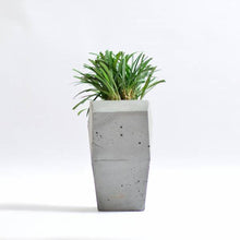 Load image into Gallery viewer, Cavity concrete geometrical concrete planter for table top /office desk / living room / console table-Home Décor-Claymango.com