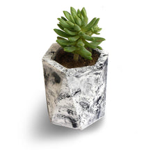 Load image into Gallery viewer, Paradox Hexagon (2) Cement Planter / Vase / Flower Pot / Home decor-Home Décor-Claymango.com