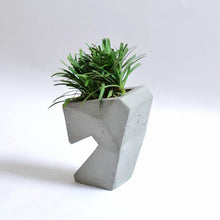 Load image into Gallery viewer, Cavity concrete geometrical concrete planter for table top /office desk / living room / console table-Home Décor-Claymango.com
