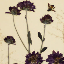 Load image into Gallery viewer, Bug in my garden-Home Décor-Claymango.com
