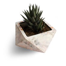Load image into Gallery viewer, Paradox Origami Cement Planter/Vase/Flower Pot/Home Decor-Home Décor-Claymango.com