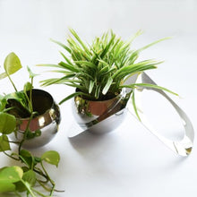 Load image into Gallery viewer, Tabletop Planters - Set of Two - Stainless Steel - Plant Not Included-Home Décor-Claymango.com