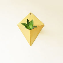 Load image into Gallery viewer, Wall Pocket Planters-Home Décor-Claymango.com