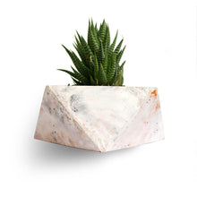 Load image into Gallery viewer, Paradox Origami Cement Planter/Vase/Flower Pot/Home Decor-Home Décor-Claymango.com