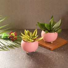 Load image into Gallery viewer, Green Minicules-Kitchen Accessories-Claymango.com