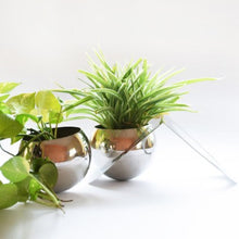 Load image into Gallery viewer, Tabletop Planters - Set of Two - Stainless Steel - Plant Not Included-Home Décor-Claymango.com