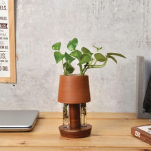 Load image into Gallery viewer, Unique Handmade dual tube Terracotta (clay) Table Top Planter for your workstation.-Terracotta-Claymango.com