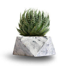 Load image into Gallery viewer, Paradox Origami (2) Cement Planter / Vase / Flower Pot / Home decor-Home Décor-Claymango.com