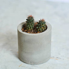 Load image into Gallery viewer, Minima concrete geometrical concrete planter for table top /office desk / living room / console table ( small )-Home Décor-Claymango.com