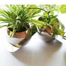 Load image into Gallery viewer, Tabletop Planters - Set of Two - Stainless Steel - Plant Not Included-Home Décor-Claymango.com