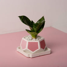 Load image into Gallery viewer, Concrete T Mark Planter - Pink-Home Décor-Claymango.com

