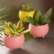 Load image into Gallery viewer, Green Minicules-Kitchen Accessories-Claymango.com