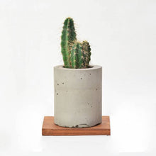 Load image into Gallery viewer, Minima concrete geometrical concrete planter for table top /office desk / living room / console table ( big )-Home Décor-Claymango.com