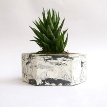 Load image into Gallery viewer, Paradox Hexagon Cement Planter / Vase / Flower Pot / Home decor-Home Décor-Claymango.com