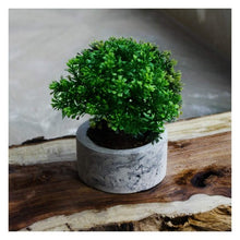 Load image into Gallery viewer, Paradox Round Black/White Cement Planter/Vase/Flower Pot/for Home Garden Office and Balcony Decoration-Home Décor-Claymango.com