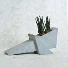 Load image into Gallery viewer, Grasshopper concrete geometrical concrete planter for table top /office desk / living room / console table-Home Décor-Claymango.com