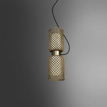 Load image into Gallery viewer, Metamorphosis
Pendant Lamp
H-013CC
