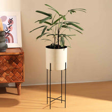 Load image into Gallery viewer, Jardinière (Planter Pot - Single) - Planter, Container, Pot, Indoor Planting

